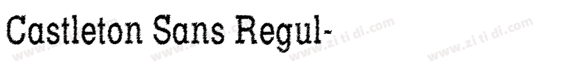 Castleton Sans Regul字体转换